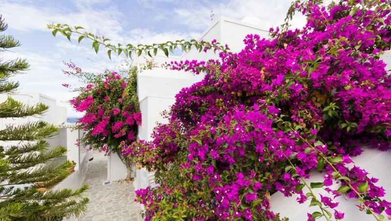 Апарт отель Unique Galini Oia - Adults Only Экстерьер фото